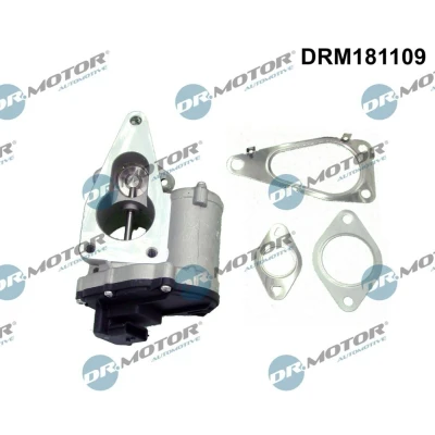 Imagen de DR.MOTOR AUTOMOTIVE DRM181109 Válvula EGR eléctrico RENAULT: SCENIC 2, MEGANE 2 Coupe Cabriolet