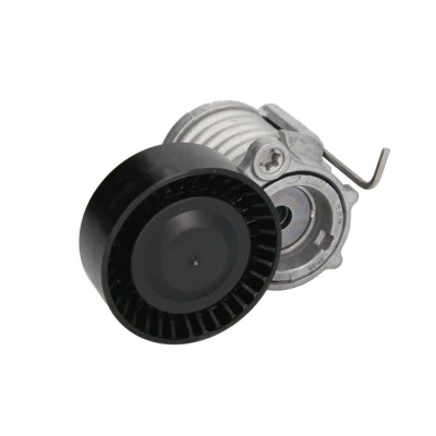 Imagen de INA 534 0296 10 Brazo tensor, correa trapecial poli V SEAT: Ibiza 3, Córdoba II Berlina, 4, VOLKSWAGEN: Polo Hatchback, IV Hatchback