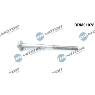 Imagen de DR.MOTOR AUTOMOTIVE DRM01078 Tornillo, soporte inyector AUDI: Q5, A3 Sportback, Hatchback, VOLKSWAGEN: GOLF 6, Touran I, Sharan II