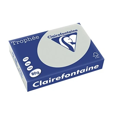 Imagen de Clairefontaine Resma de papel, 80 gr/m², 500 hojas, Gris Acero, A4 (21 x 29.7 cm)