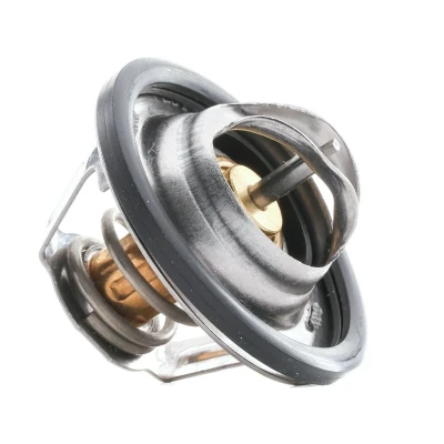 Imagen de FEBI BILSTEIN 24028 Termostato, refrigerante 89 con junta anular RENAULT: CLIO 2, LAGUNA 1, MEGANE OPEL: Vivaro A Furgón, Combi norauto,