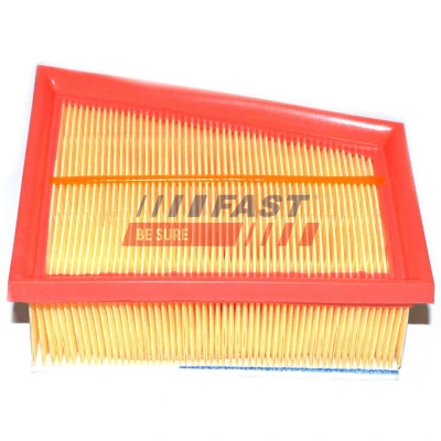 Imagen de FAST FT37164 Filtro de aire 78 142 176 rectangular recirculación RENAULT: CLIO 2, MEGANE Kangoo I, DACIA: Duster SUV, Sandero I