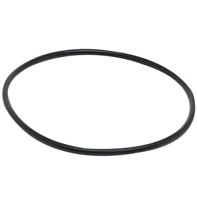 Imagen de Fluval Junta Tórica para Tapa de Rotor 3,9 cm Filtro 103