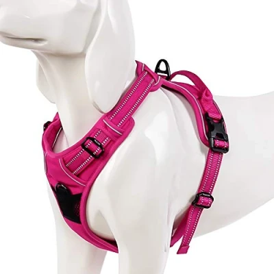 Imagen de WINHYEPET Arnés para Perros True Love, sin tirón, con Clip Frontal, arneses Coche, Ajustables asa, Cuatro Puntos de Ajuste, Material Oxford Acolchado Reflectante, TLH5651 (Fushcia, M)