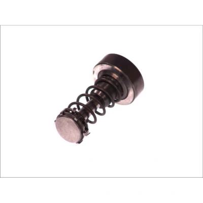Imagen de Componentes de la bomba CR BOSCH F 01M 101 355