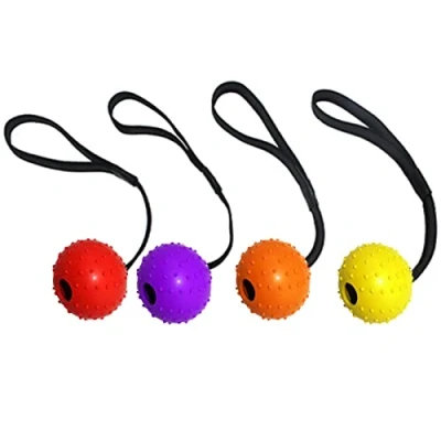 Imagen de Fayemint 4 Piezas Pelota con Cuerda，Pelota Cuerda para Perros, Perro Lanzador de Bola Interactiva Mascotas Jugando Ejercicio Entrenamiento