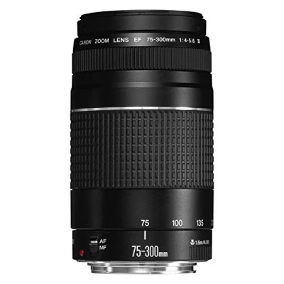 Imagen de Canon 75 300 mm f/4 5.6 III Objetivo para (Zoom óptico 4X,diámetro: 58mm), Color Negro [Versión española]