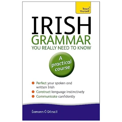 Imagen de Irish Grammar You Really Need To Know: Teach Yourself (ebook)