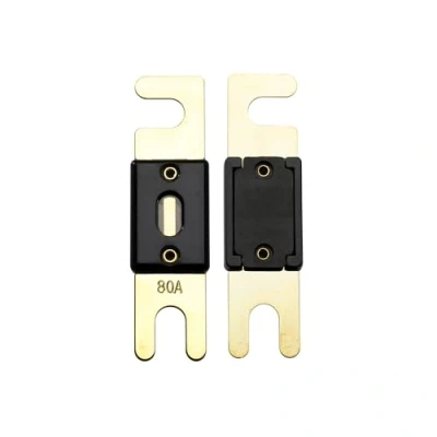 Imagen de Offgridtec Fusible ANL 80A 72V DIN43560/1 5 Set