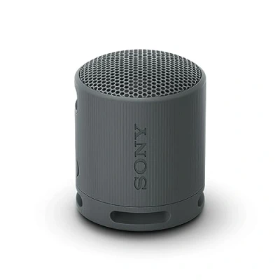 Imagen de Sony XB100 Altavoz Negro