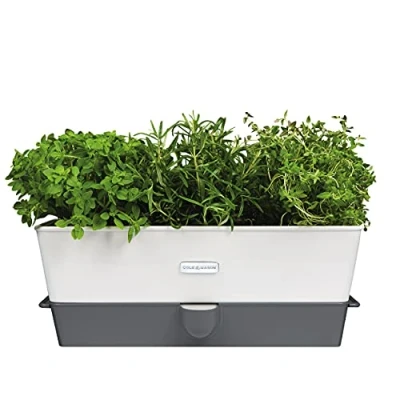 Imagen de Cole &amp; Mason H105349 Burwell Conservador para Hierbas Aromaticas en Macetas, Blanco/Gris, Cultivo de Plantas Interior, Acero Inoxidable, Triple, 3 macetas
