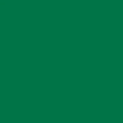 Imagen de plottiX Lámina de vinilo permanente, 31,5 cm x 1 m, color verde