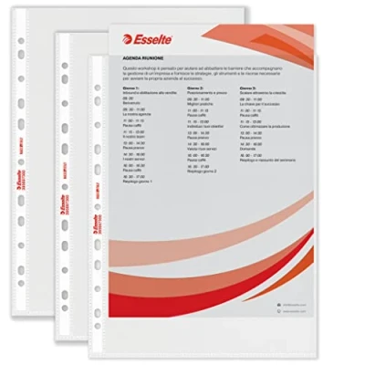 Imagen de Esselte Buste a foratura universale Copy Safe Standard 22x30 cm goffrata 569730 (conf.200)