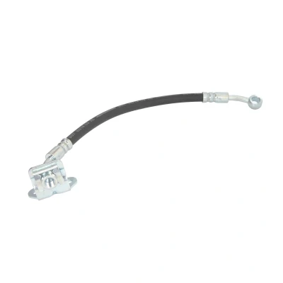 Imagen de DELPHI LH7579 Latiguillos de Freno 300 120 SF