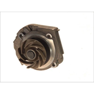 Imagen de Saleri SIL PA983A Bomba de agua 24 mecánico 59,7 FIAT: Doblo I Familiar, Cinquecento, Punto Hatchback, LANCIA: Ypsilon II