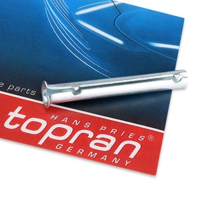 Imagen de TOPRAN 206 055 Bisagra de puerta OPEL: Astra F Caravan, Kadett E CC, CC norauto, oscaro, mister auto