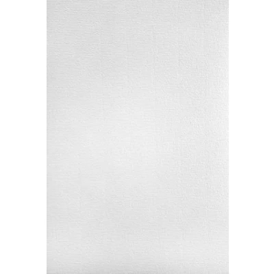 Imagen de Netuno 20x cartón verjurado color blanco DIN A4 297x210mm 220g Aster Laid White papel acanalado con finas nervaduras texturizado certificado rasgado filigrana para impresora diplomas comunión