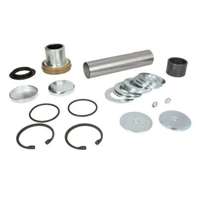 Imagen de Kit de reparación, pivote C.E.I 230129