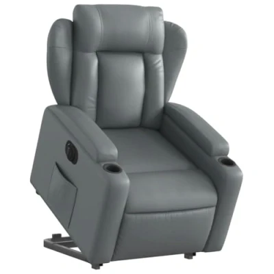 Imagen de Sillón elevable y reclinable