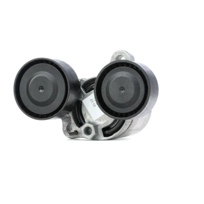 Imagen de SKF VKM 38306 Polea Tensora BMW: 3 Berlina, Touring, 1 Hatchback