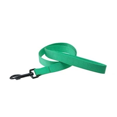 Imagen de Karlie K Art Sportiv Plus Correa,20Mm 100Cm Menta 470 g