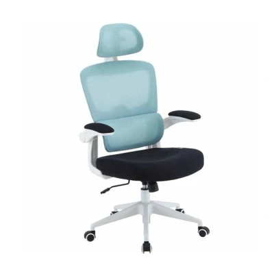 Imagen de Silla gaming Woxter Ergo GM26 107, 2D (Reposabrazos Abatibles, se mueven arriba y abajo), Carga máxima 120 kg, Azul