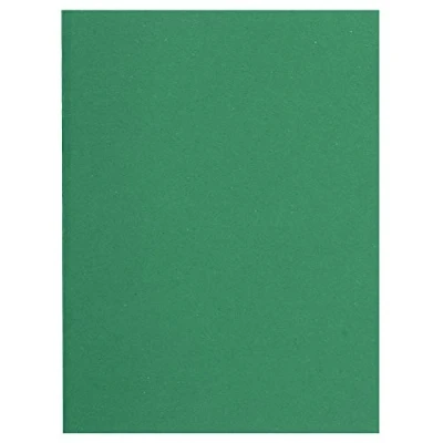 Imagen de Exacompta Flash 220 Paquete de 100 subcarpetas, 24 x 32 cm, color verde