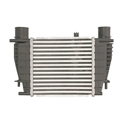 Imagen de THERMOTEC DA1003TT Intercooler 210 x 205 64 mm NISSAN: Juke, RENAULT: CLIO 3