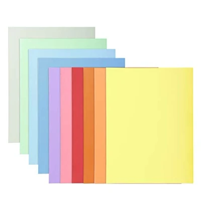 Imagen de Exacompta 330100E 10 paquetes de subcarpetas rígidas SUPER 210 g/m2 en colores pastel certificadas PEFC dimensiones 24 x 32 cm para formato A4 surtidos