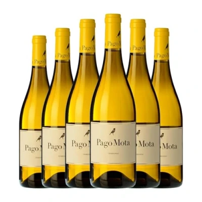 Imagen de Arzuaga Pago Mota Chardonnay Vino de la Tierra Castilla Crianza 75 cl blanco (Caja 6 Botellas cl)
