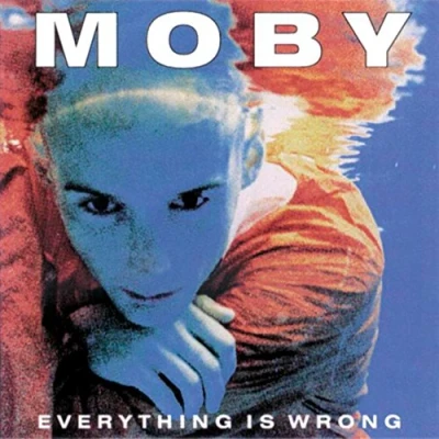 Imagen de Everything Is Wrong [Vinilo]