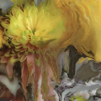 Imagen de Wilderness within you [Vinilo]