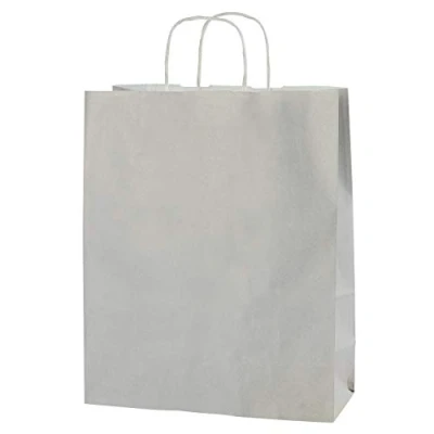 Imagen de Thepaperbagstore 10 Bolsas De Papel Colores, Reciclables Y Reutilizables, con Asas Retorcidas, Gris Claro Mediana 250x110x310mm
