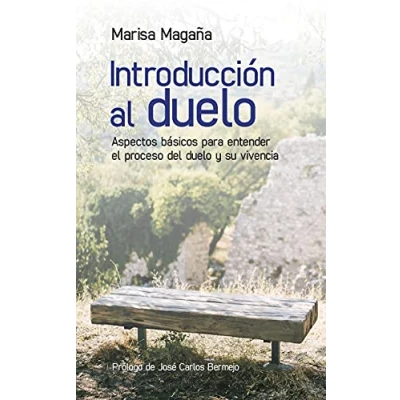 Imagen de INTRODUCCIÓN AL DUELO. Aspectos básicos para entender el proceso del duelo y su vivencia.: 155 (Proyecto)