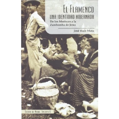 Imagen de FLAMENCO UNA IDENTIDAD HIBERNADA,EL (ENSAYO)