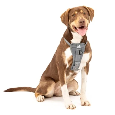 Imagen de Kurgo Tru Fit Arnés para Perro, de Paseo Perros, Anillo en D Entrenamiento sin Tirones, Incluye Mosquetón Seguridad Gris, M