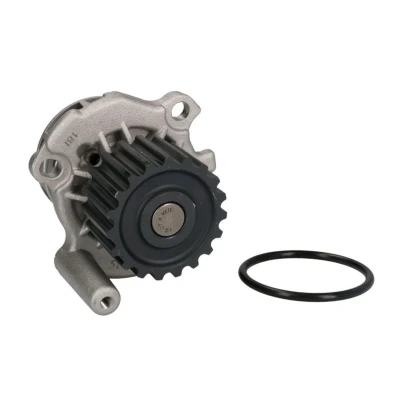 Imagen de THERMOTEC D1A024TT Bomba de agua 19 con junta mecánico AUDI: A3 Hatchback, A4 B5 Berlina, A6 C5 VOLKSWAGEN: Golf 4, Passat Berlina