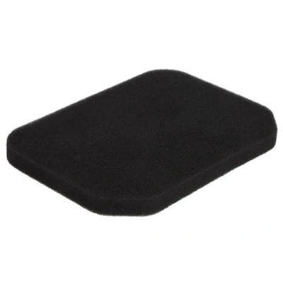 Imagen de Filtro de aire ATHENA S410510200010