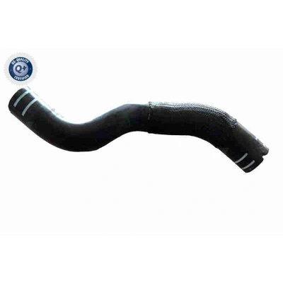 Imagen de VAICO V24 1271 Manguitos de Radiador FIAT: Tipo Familiar
