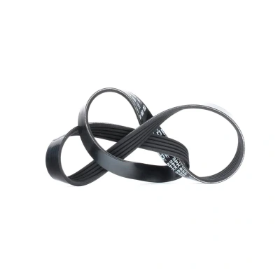 Imagen de DAYCO 5PK835 Correa trapecial poli V 835,0mm 5 BMW: 3 Sedán, Compact, Coupé, SUZUKI: Grand Vitara 2 SUV, SWIFT 3, SX4 I Hatchback, FIAT: Sedici