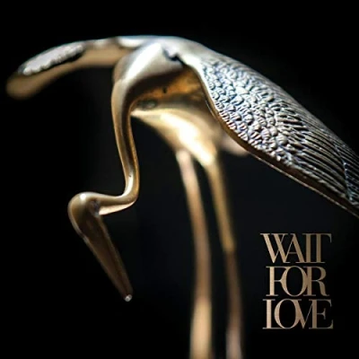 Imagen de Wait For Love [Vinilo]