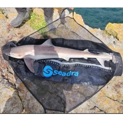 Imagen de Seadra Eslinga para pesar y medir, muestra de 120 cm