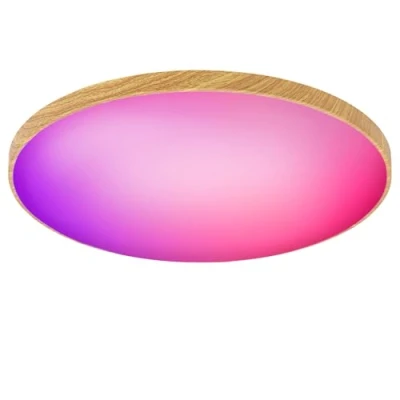 Imagen de Birnetek® Lampara Techo LED 30W, Plafon RGB Redondo Regulable, 2700K 6500K, 2200LM, Compatible con Alexa, Control APP, Mando a Distancia, para Dormitorio, Salon, Cocina, Vetado De La Madera
