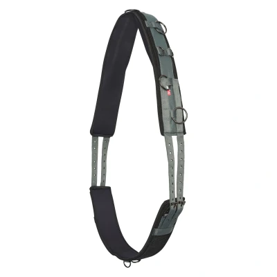 Imagen de Imperial Riding FW&#039;22 Lunging Girth Deluxe Extra