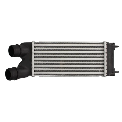 Imagen de THERMOTEC DAC015TT Intercooler CITROËN: Berlingo II, / First I Furgón, II PEUGEOT: Partner Tepee