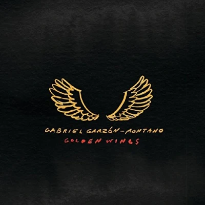 Imagen de Golden Wings Single Vinilo
