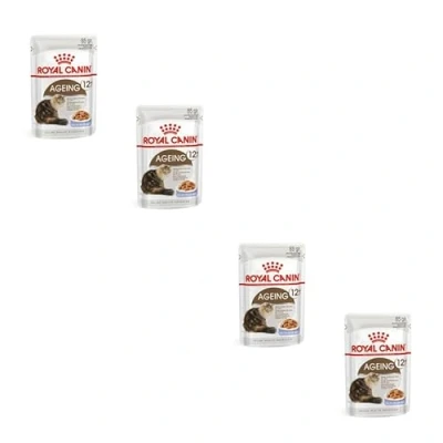Imagen de Royal Canin Ageing 12+ trozos Finos en gelatina Paquete Doble 2 x 12 85 g Comida húmeda para Gatos Mayores Alimento Completo Senior a Partir de años