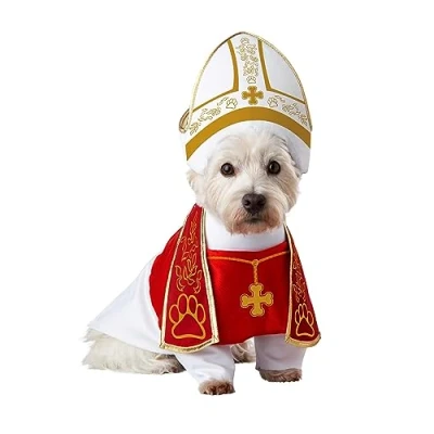 Imagen de California Costumes Disfraz de Perro Sagrado para Mascotas, Talla S