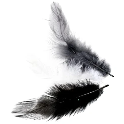 Imagen de GLOREX Plumas Deco, multicolor, 20,5 x 8,5 0,3 cm