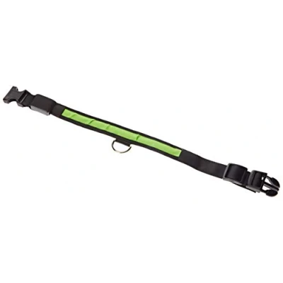 Imagen de KABB SUN 46 03 LED Perro, llevó USB Recargable Seguridad para Mascotas Impermeable hasta la Longitud de 65 cm Collar Destello Ajustable, Verde